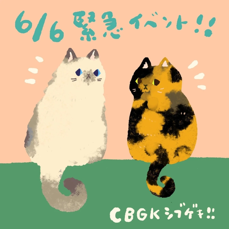 とみこはんの猫祭りとはんこ縁日