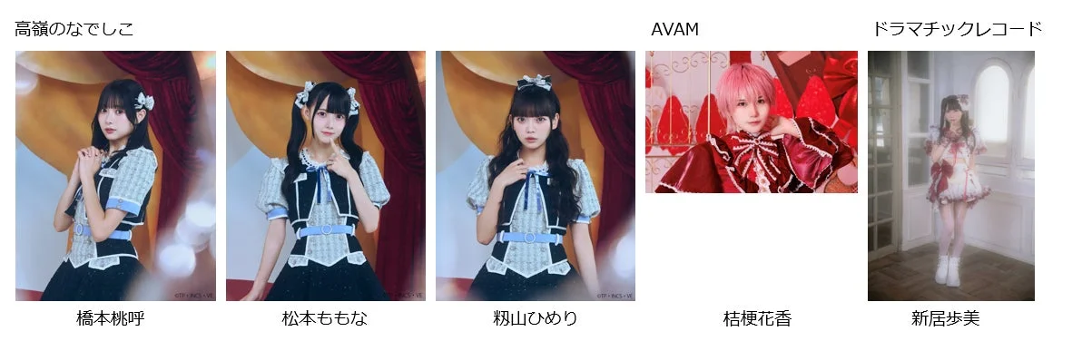高嶺のなでしこ、AVAM、ドラマチックレコードメンバー