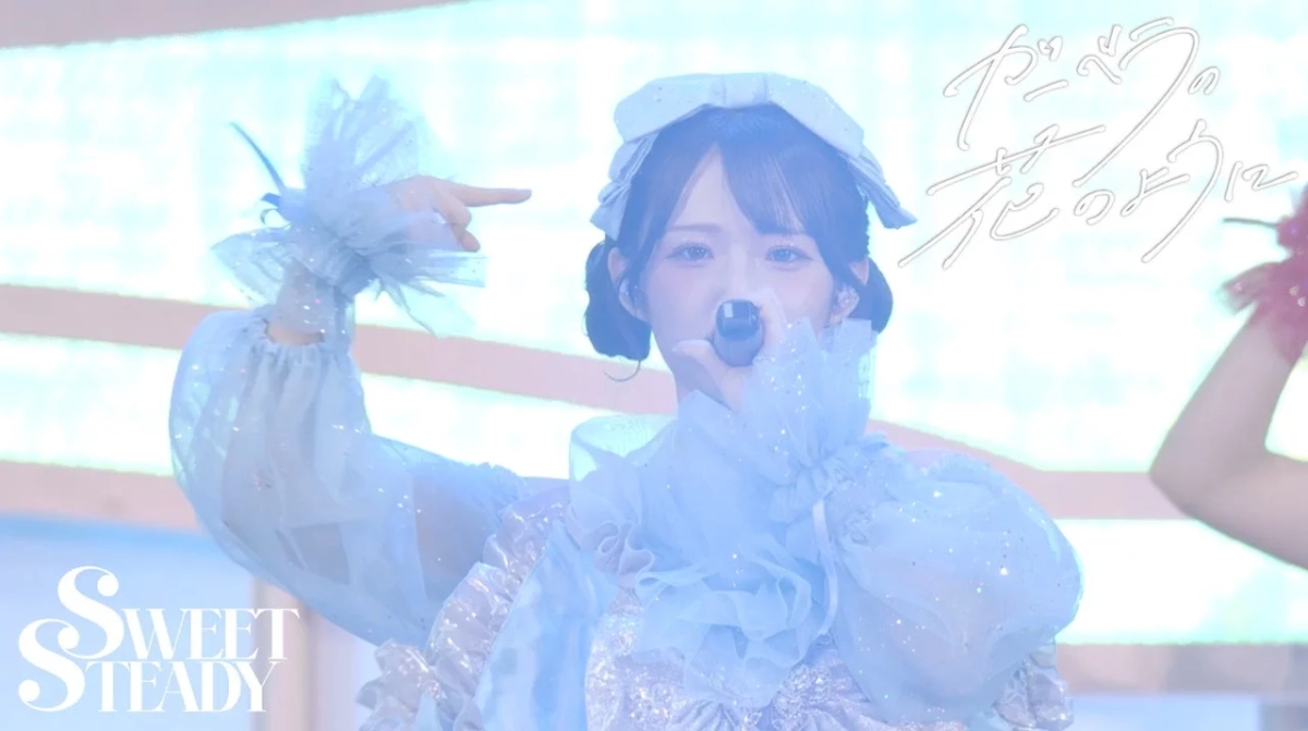 ライブパフォーマンス
