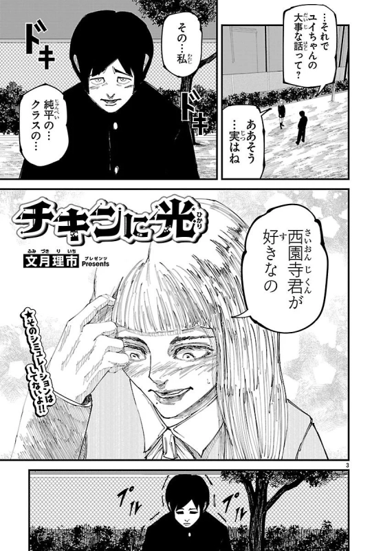 チキンに光